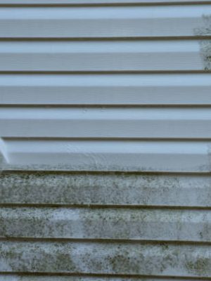 The vinyl siding is molded and slimy but a good power washing takes care of the problem nicely.